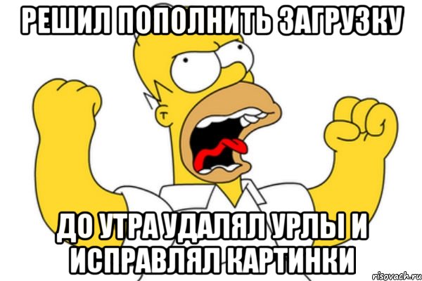 решил пополнить загрузку до утра удалял урлы и исправлял картинки, Мем Разъяренный Гомер