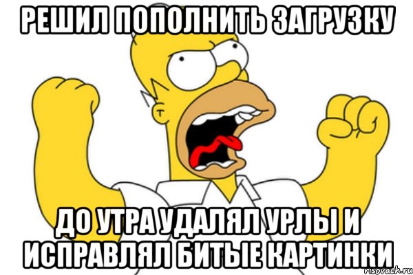 решил пополнить загрузку до утра удалял урлы и исправлял битые картинки, Мем Разъяренный Гомер