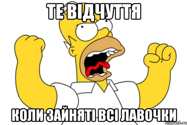 те відчуття коли зайняті всі лавочки, Мем Разъяренный Гомер