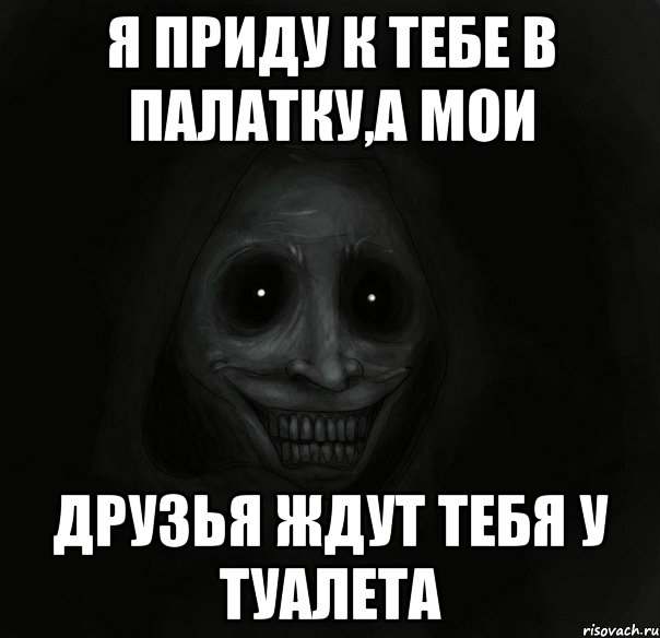 я приду к тебе в палатку,а мои друзья ждут тебя у туалета, Мем Ночной гость