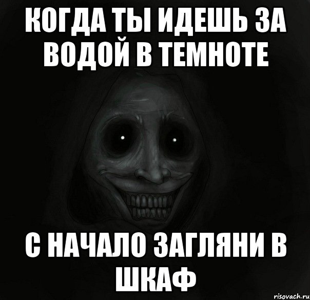 когда ты идешь за водой в темноте с начало загляни в шкаф, Мем Ночной гость