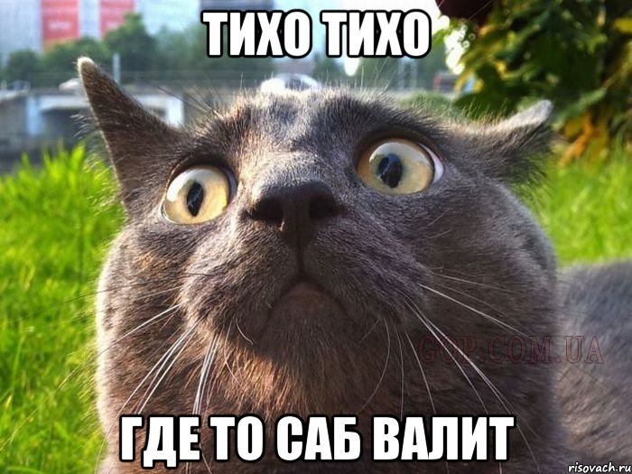 тихо тихо где то саб валит