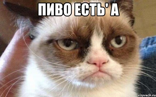 пиво есть' а 