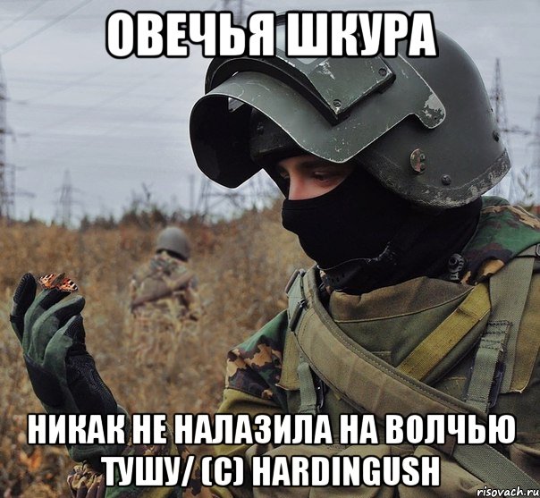 овечья шкура никак не налазила на волчью тушу/ (c) hardingush