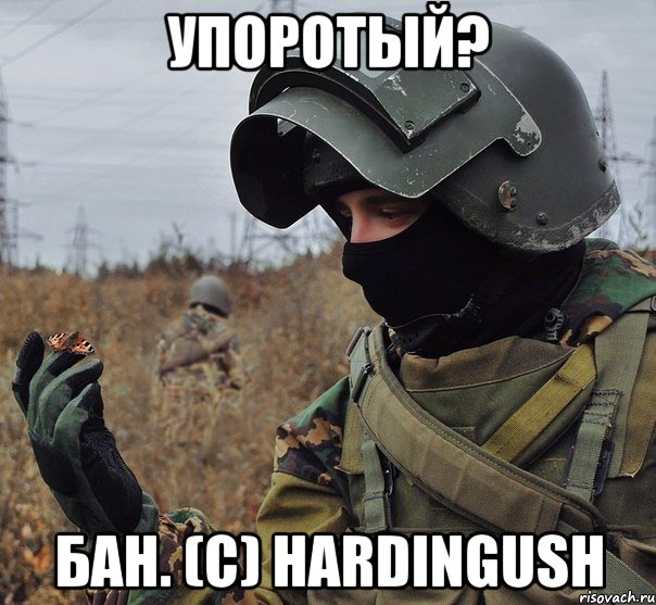 упоротый? бан. (с) hardingush