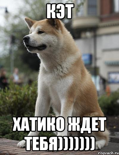 кэт хатико ждет тебя)))))))