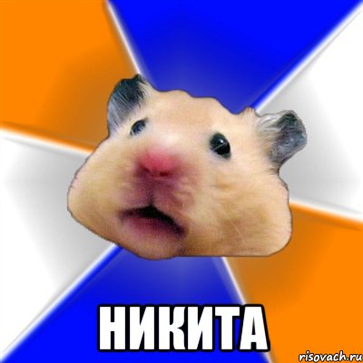  никита, Мем Хомяк