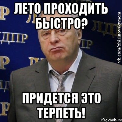 лето проходить быстро? придется это терпеть!, Мем Хватит это терпеть (Жириновский)