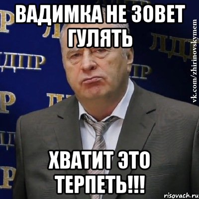 вадимка не зовет гулять хватит это терпеть!!!, Мем Хватит это терпеть (Жириновский)