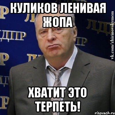 куликов ленивая жопа хватит это терпеть!, Мем Хватит это терпеть (Жириновский)