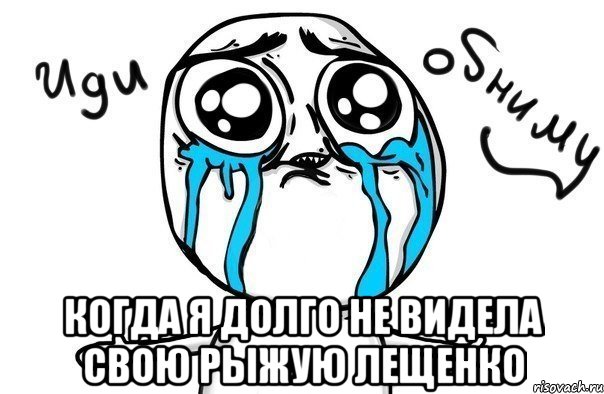  когда я долго не видела свою рыжую лещенко, Мем Иди обниму
