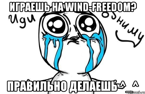 играешь на wind-freedom? правильно делаешь ^_^, Мем Иди обниму