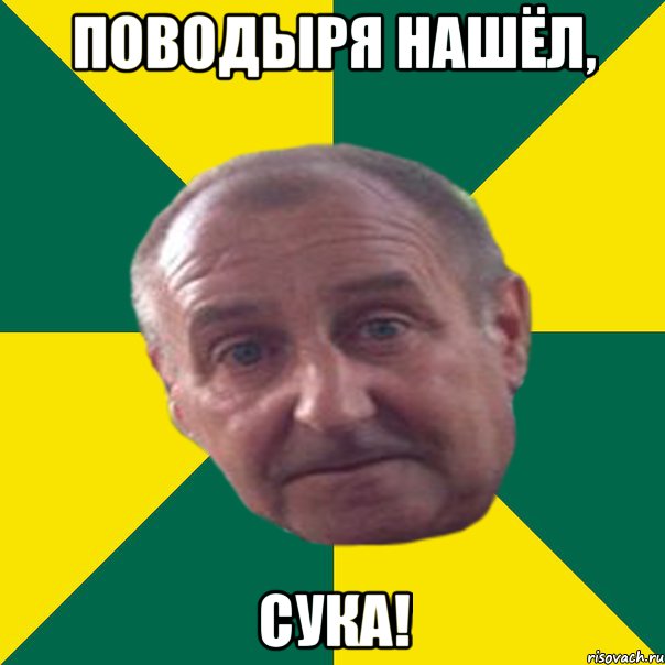 поводыря нашёл, сука!, Мем ИТРОП