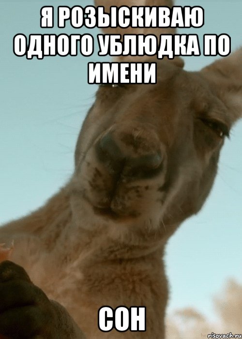 я розыскиваю одного ублюдка по имени сон