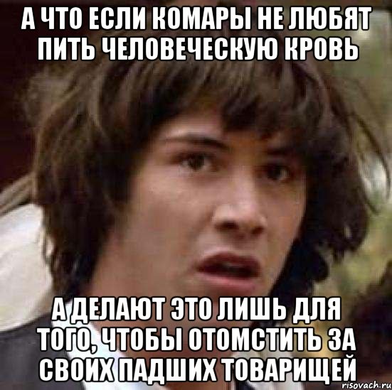 а что если комары не любят пить человеческую кровь а делают это лишь для того, чтобы отомстить за своих падших товарищей, Мем А что если (Киану Ривз)