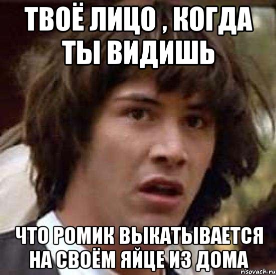 твоё лицо , когда ты видишь что ромик выкатывается на своём яйце из дома, Мем А что если (Киану Ривз)