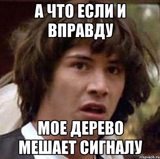 а что если и вправду мое дерево мешает сигналу, Мем А что если (Киану Ривз)