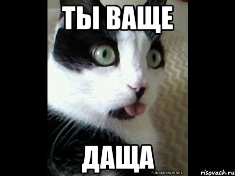 ты ваще даща, Мем kodasha