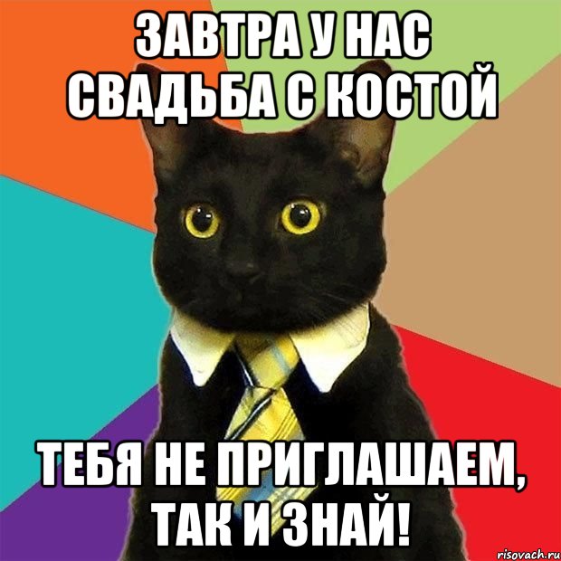 завтра у нас свадьба с костой тебя не приглашаем, так и знай!, Мем  Кошечка