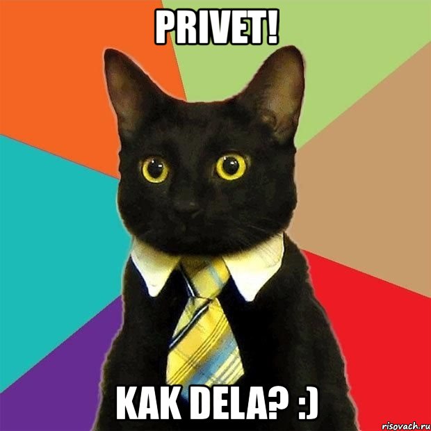 privet! kak dela? :), Мем  Кошечка