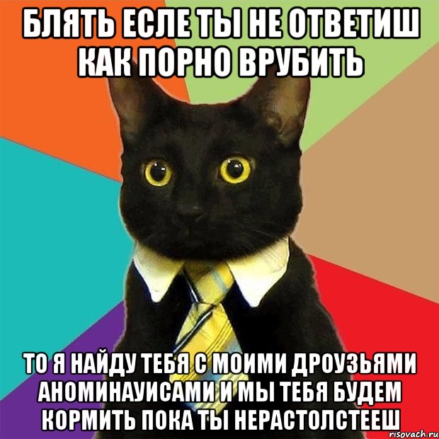 блять есле ты не ответиш как порно врубить то я найду тебя с моими дроузьями аноминауисами и мы тебя будем кормить пока ты нерастолстееш, Мем  Кошечка