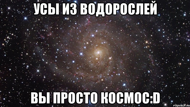 усы из водорослей вы просто космос:d, Мем  Космос (офигенно)