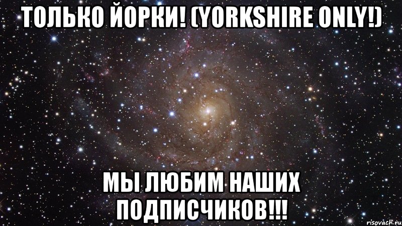 только йорки! (yorkshire only!) мы любим наших подписчиков!!!, Мем  Космос (офигенно)