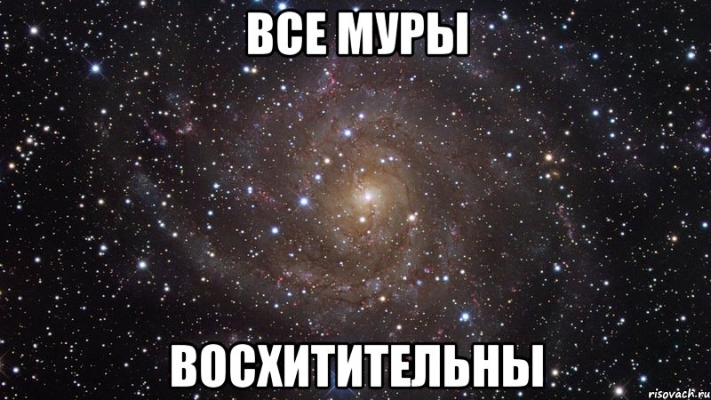 все муры восхитительны, Мем  Космос (офигенно)