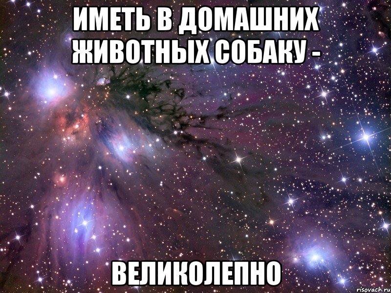 иметь в домашних животных собаку - великолепно, Мем Космос