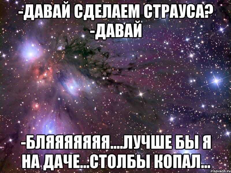 -давай сделаем страуса? -давай -бляяяяяяя....лучше бы я на даче...столбы копал..., Мем Космос