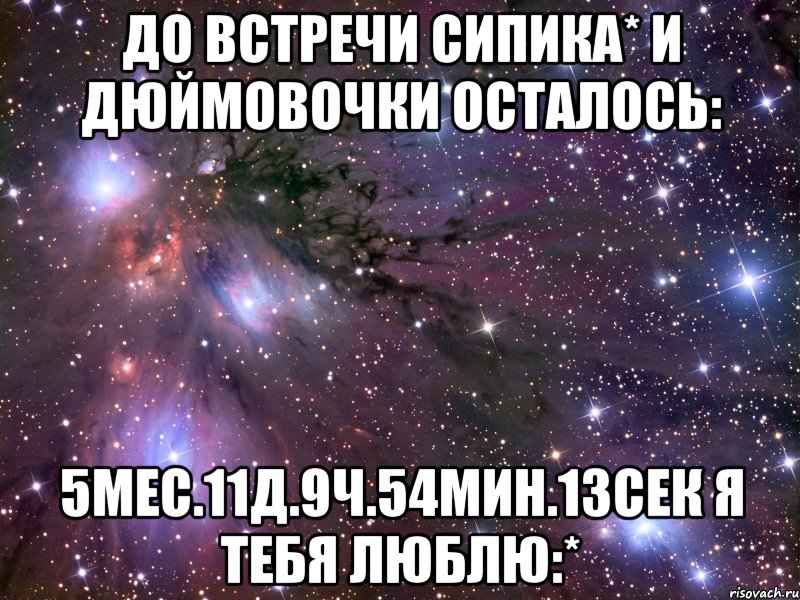 до встречи сипика* и дюймовочки осталось: 5мес.11д.9ч.54мин.13сек я тебя люблю:*