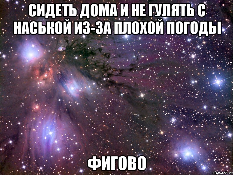 сидеть дома и не гулять с наськой из-за плохой погоды фигово