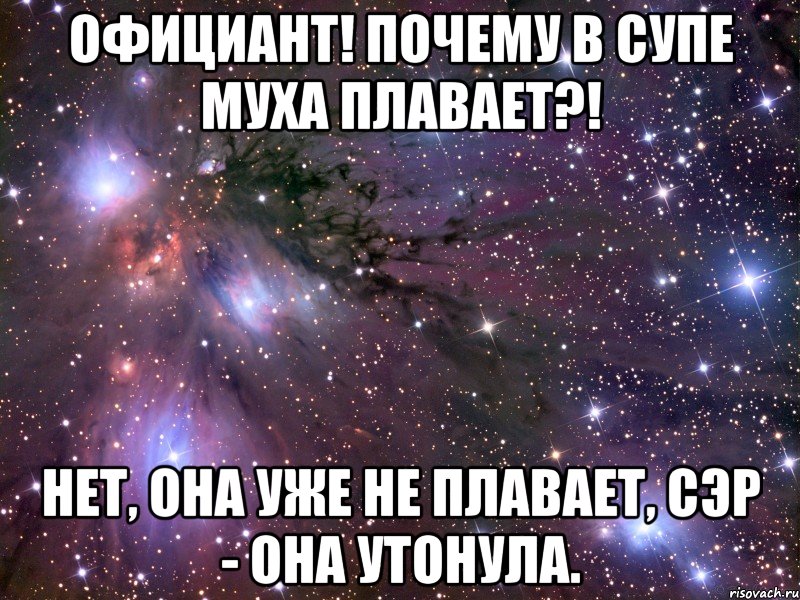 официант! почему в супе муха плавает?! нет, она уже не плавает, сэр - она утонула.