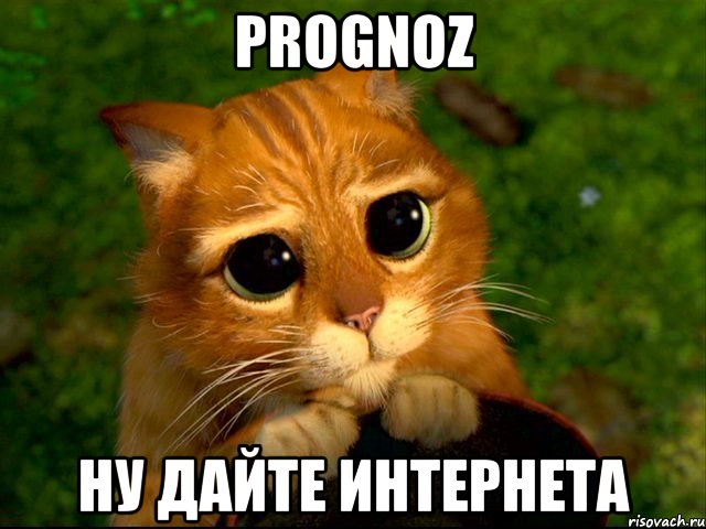 prognoz ну дайте интернета