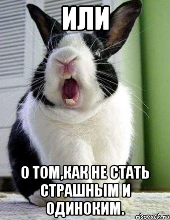 или о том,как не стать страшным и одиноким., Мем кот