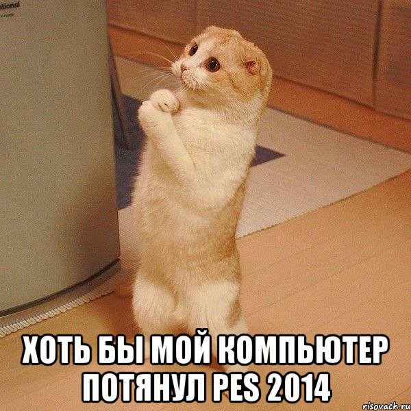  хоть бы мой компьютер потянул pes 2014, Мем  котэ молится