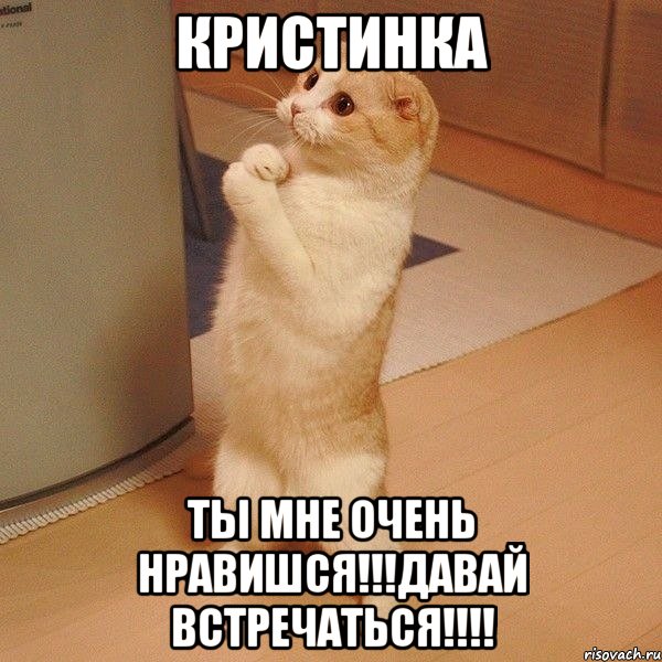 кристинка ты мне очень нравишся!!!давай встречаться!!!, Мем  котэ молится