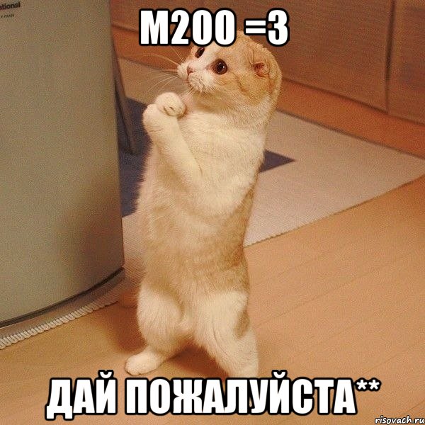 m200 =3 дай пожалуйста**, Мем  котэ молится