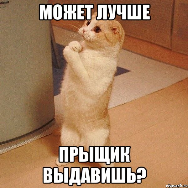 может лучше прыщик выдавишь?, Мем  котэ молится