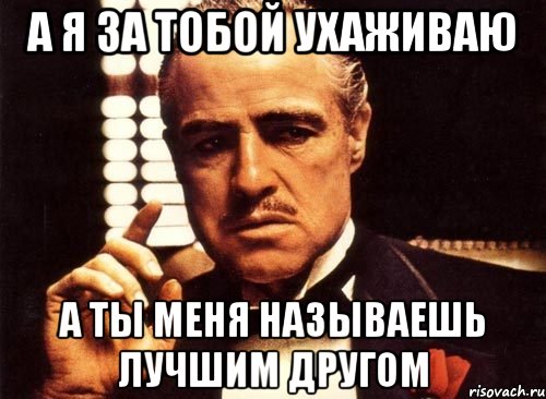 а я за тобой ухаживаю а ты меня называешь лучшим другом, Мем крестный отец