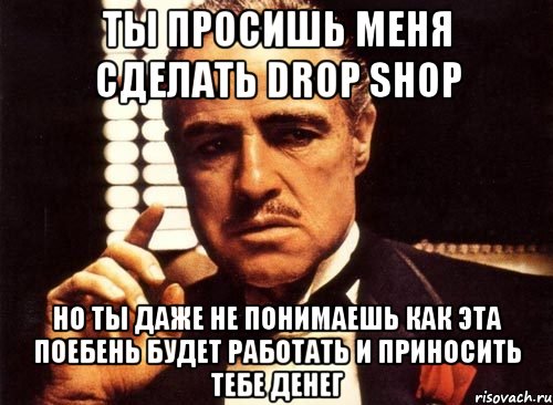 ты просишь меня сделать drop shop но ты даже не понимаешь как эта поебень будет работать и приносить тебе денег, Мем крестный отец