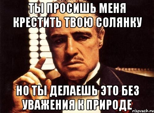 ты просишь меня крестить твою солянку но ты делаешь это без уважения к природе, Мем крестный отец