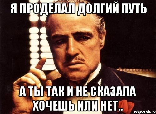 я проделал долгий путь а ты так и не сказала хочешь или нет.., Мем крестный отец