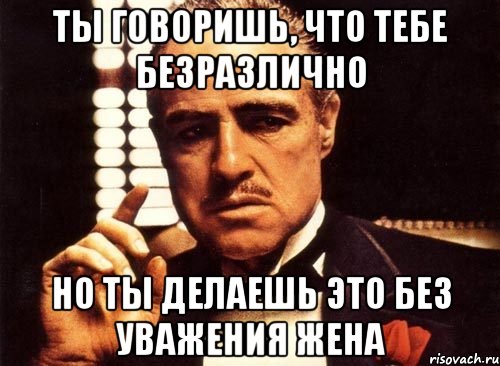 ты говоришь, что тебе безразлично но ты делаешь это без уважения жена, Мем крестный отец