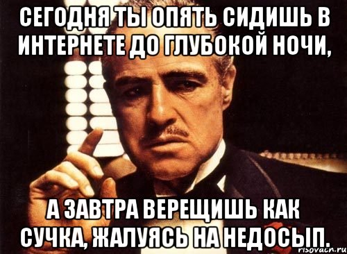 сегодня ты опять сидишь в интернете до глубокой ночи, а завтра верещишь как сучка, жалуясь на недосып., Мем крестный отец