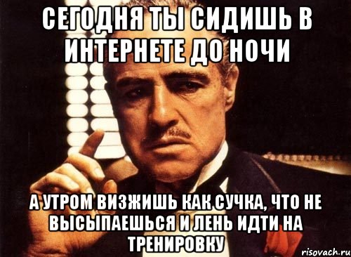 сегодня ты сидишь в интернете до ночи а утром визжишь как сучка, что не высыпаешься и лень идти на тренировку, Мем крестный отец