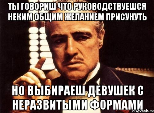 ты говориш что руководствуешся неким общим желанием присунуть но выбираеш девушек с неразвитыми формами, Мем крестный отец