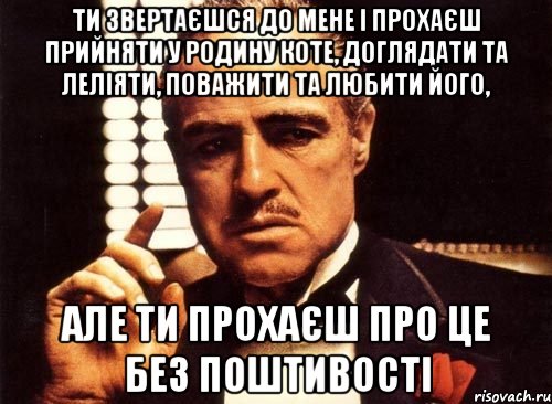 ти звертаєшся до мене і прохаєш прийняти у родину коте, доглядати та леліяти, поважити та любити його, але ти прохаєш про це без поштивості, Мем крестный отец