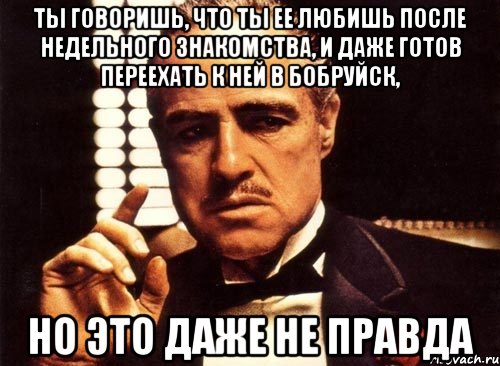 ты говоришь, что ты ее любишь после недельного знакомства, и даже готов переехать к ней в бобруйск, но это даже не правда, Мем крестный отец