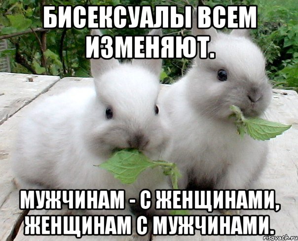 бисексуалы всем изменяют. мужчинам - с женщинами, женщинам с мужчинами.
